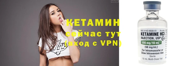 сатива Абаза