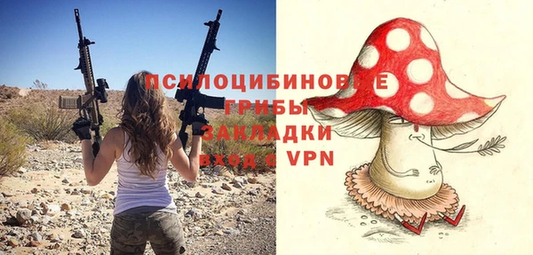 тгк Алзамай