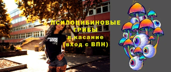 первитин Армянск