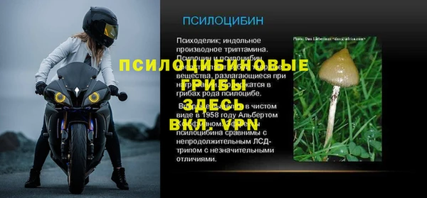 крисы Абдулино