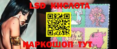 гашик Новозыбков