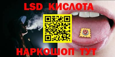 стаф Новодвинск