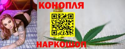 гашик Новозыбков