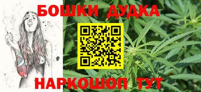 стаф Новодвинск