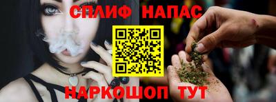 гашик Новозыбков